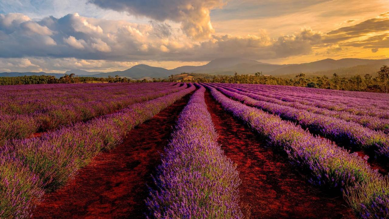 Campanile Manosque Hotel Екстериор снимка